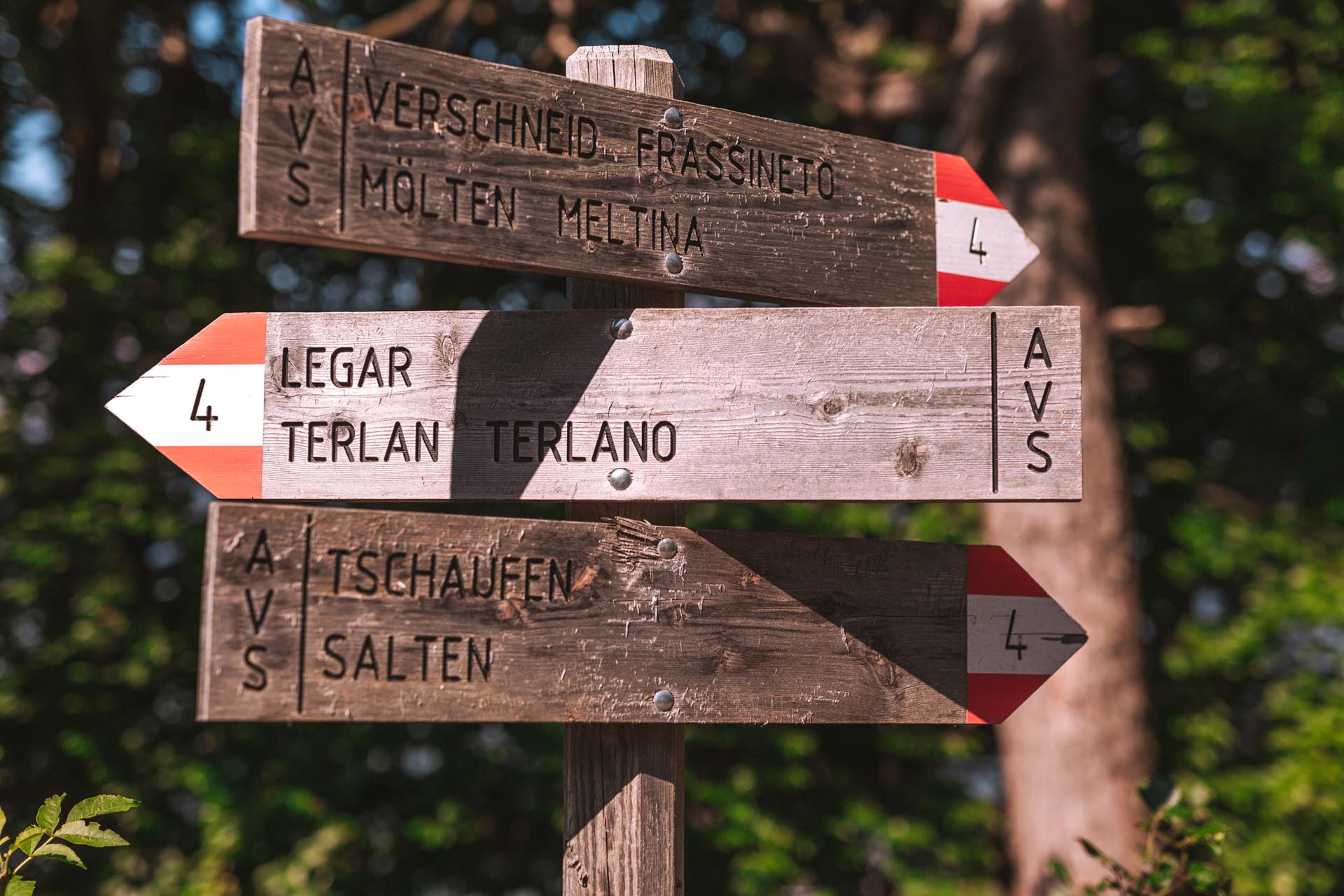 Wandern am Salten Wandern am Salten