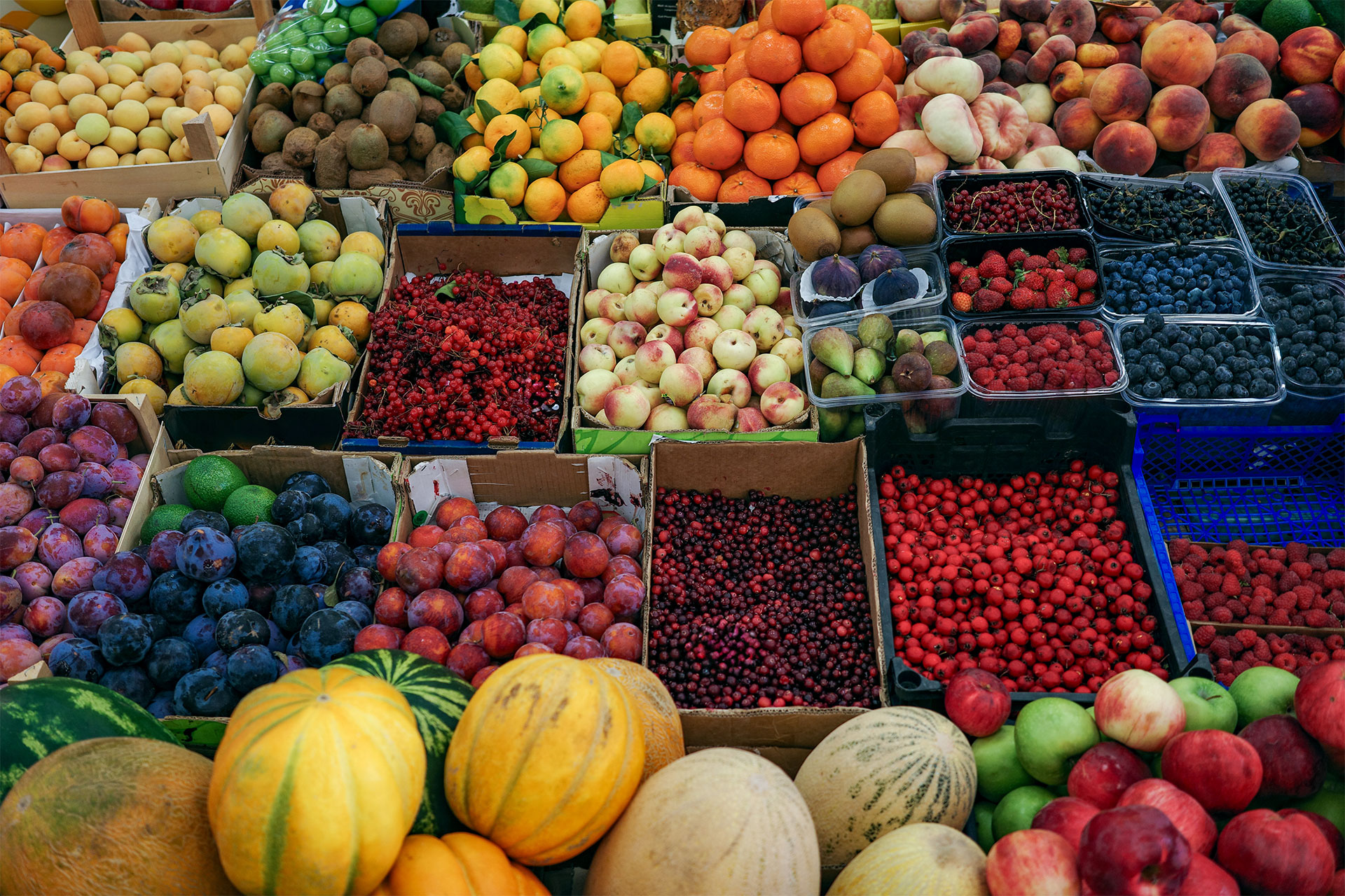 Der Obstmarkt von Bozen Der Obstmarkt von Bozen